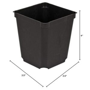 McConkey Square Nursery Pot, Case of 60