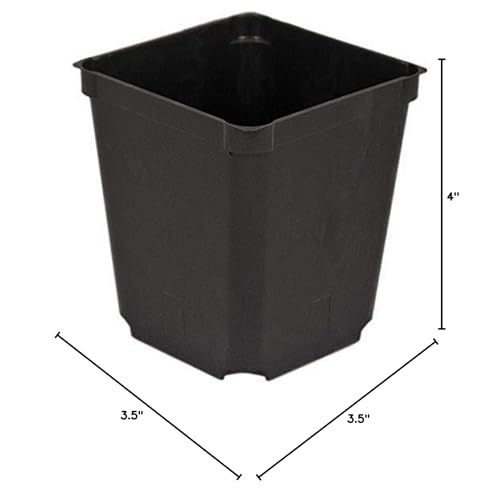 McConkey Square Nursery Pot, Case of 60