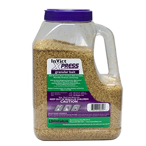 Rockwell Invict Xpress Granular Bait 4lb Shakers