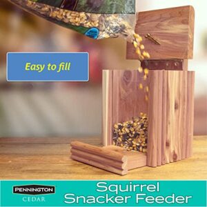 Pennington Cedar Squirrel Snacker Feeder, 1 LB Capacity