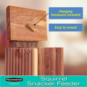 Pennington Cedar Squirrel Snacker Feeder, 1 LB Capacity