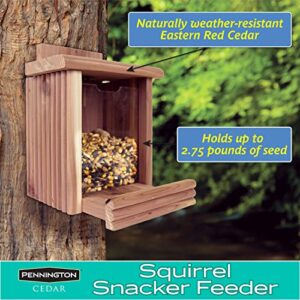 Pennington Cedar Squirrel Snacker Feeder, 1 LB Capacity