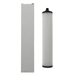 doulton w9240002 specialty replacement filter / water treatment cartridge