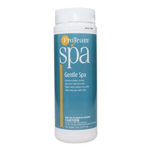 proteam spa gentle spa (2 lb) (4 pack)