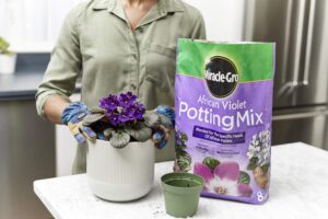 miracle-gro african violet potting mix, 8 qt.