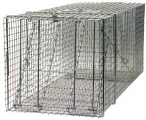 havahart cage trap 42 in. x 15 in. x 15 in. for large animals