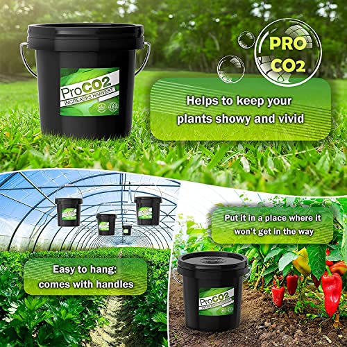 CO2 for Indoor Grow Tent - Ready to Use - Carbon Dioxide Boost for Indoor Grow Rooms - from Sprouting to Vegetative Growth Through Flowering - One XL Bucket Covers up to an 3'x3’ Tent