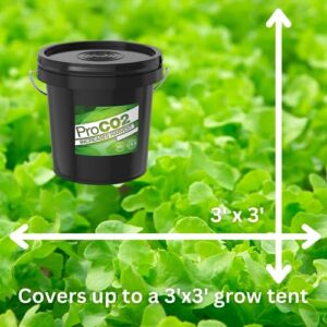 CO2 for Indoor Grow Tent - Ready to Use - Carbon Dioxide Boost for Indoor Grow Rooms - from Sprouting to Vegetative Growth Through Flowering - One XL Bucket Covers up to an 3'x3’ Tent