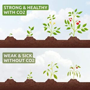 CO2 for Indoor Grow Tent - Ready to Use - Carbon Dioxide Boost for Indoor Grow Rooms - from Sprouting to Vegetative Growth Through Flowering - One XL Bucket Covers up to an 3'x3’ Tent