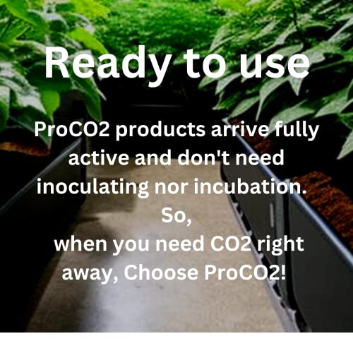 CO2 for Indoor Grow Tent - Ready to Use - Carbon Dioxide Boost for Indoor Grow Rooms - from Sprouting to Vegetative Growth Through Flowering - One XL Bucket Covers up to an 3'x3’ Tent