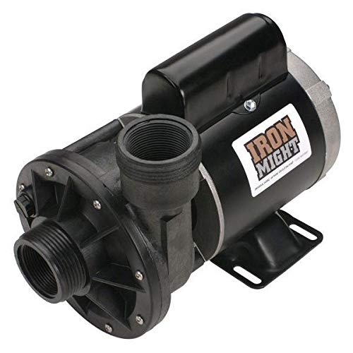 Waterway Plastics 3410030-1E Pump, 115-volt