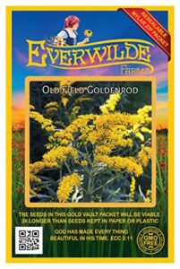 everwilde farms - 2000 old field goldenrod native wildflower seeds - gold vault jumbo seed packet