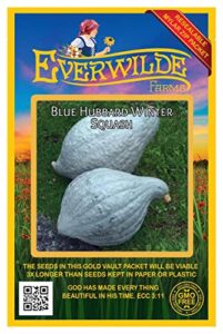 everwilde farms - 20 blue hubbard winter squash seeds - gold vault jumbo seed packet