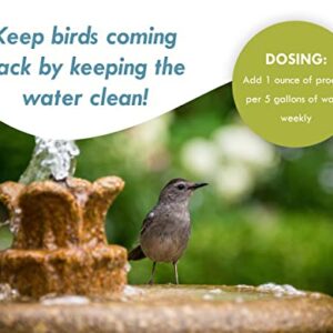 Bird Bath & Fountain Maintenance - (8 Ounces) - Fast-Acting Enzyme-Based Formula Will Extend The Life of Your Water Feature, Aid in Maintaining a Balanced Ecosystem - Safe for All Birds & Animals