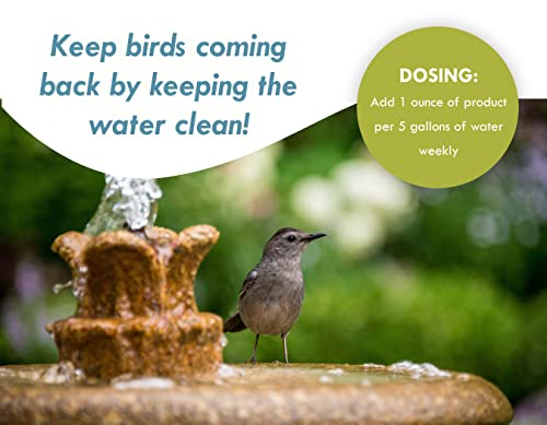 Bird Bath & Fountain Maintenance - (8 Ounces) - Fast-Acting Enzyme-Based Formula Will Extend The Life of Your Water Feature, Aid in Maintaining a Balanced Ecosystem - Safe for All Birds & Animals