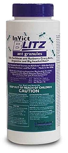 Rockwell Invict Blitz Ant Granules for Crazy Ants and More!