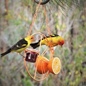 Heath Outdoor Products CF-133 Clementine Oriole Feeder , orange