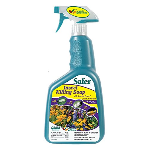 Safer Insect Killing Soap With Seaweed Extract Multiple Insects Spray 32 Oz