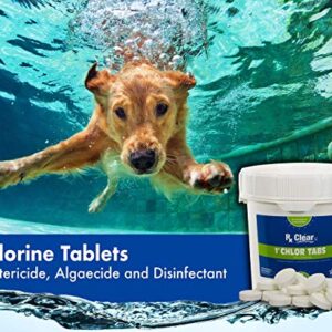 Rx Clear 1-Inch Stabilized Chlorine Tablets | Use As Bactericide, Algaecide, and Disinfectant in Swimming Pools and Spas | Slow Dissolving and UV Protected | 8 Lbs