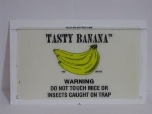 catchmaster 72tb tasty banana 4 pound mouse glue board (72 per case)