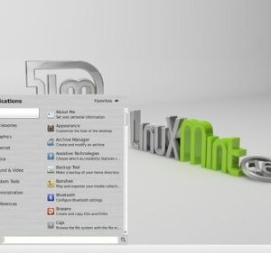 Linux Mint 16 "Petra" 64 Bit Installed on 8 Gb USB Flash Drive - 64 Bit Mate Cinnamon KDE Xfce Desktops Included -- DVD Bonus Material Included