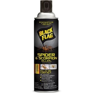 Black Flag Spider and Scorpion Killer 16 Ounces, Aerosol Insecticide SprayAdditional Product Name: Black Flag Spider and Scorpion Killer 16 Ounces, Aerosol Insecticide Spray 12 pack