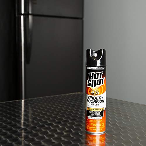 Hot Shot Spider & Scorpion Killer, Aerosol, 11-Ounce, 12-pack