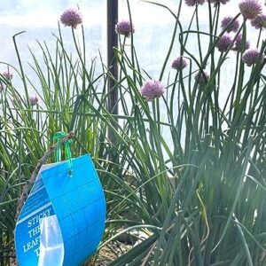 Blue Sticky Trap Thrips Leafminer Trap 15 Pack