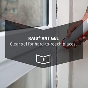 Raid Ant Gel 1.06 Ounce (Pack of 3)