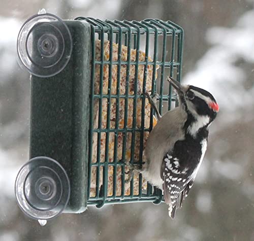 Kettle Moraine Window Mount Single Suet Cake Woodpecker Bird Feeder