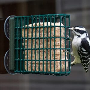 Kettle Moraine Window Mount Single Suet Cake Woodpecker Bird Feeder