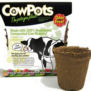 CowPots TV208926 3" Round Cow Pot Planter (12 Pack), 175mL