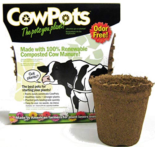 CowPots TV208926 3" Round Cow Pot Planter (12 Pack), 175mL