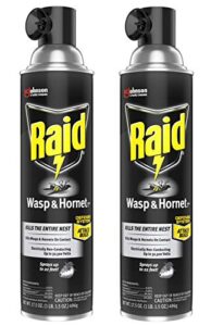 raid wasp and hornet killer (pack - 2)