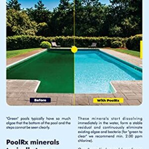 Pool RX 101003 Swimming Pool Algaecide, 4 Pack, Blue