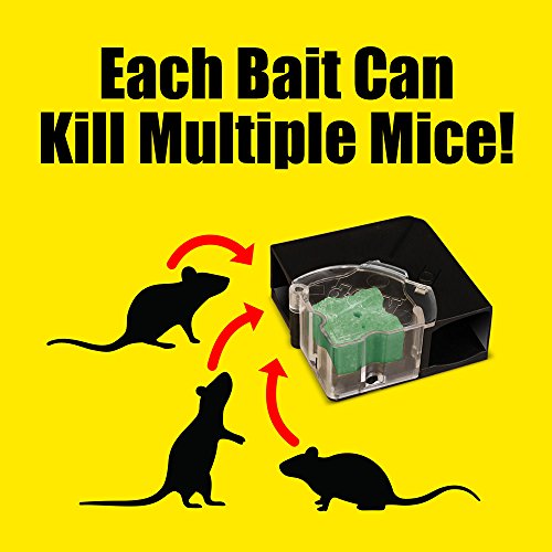 d-CON Corner Fit Mouse Poison Bait Station, 1 Trap + 2 Bait Refills
