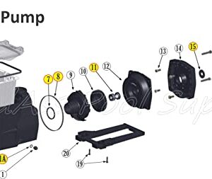 BadAss Pool Supply O-Ring Rebuild Repair Kit for Hayward Super Pump, used on all Models