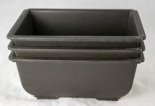 3 Rectangular Plastic Bonsai Training Pot, Cactus & Succulent Planter - 5.75 x 4.25 x 2.5