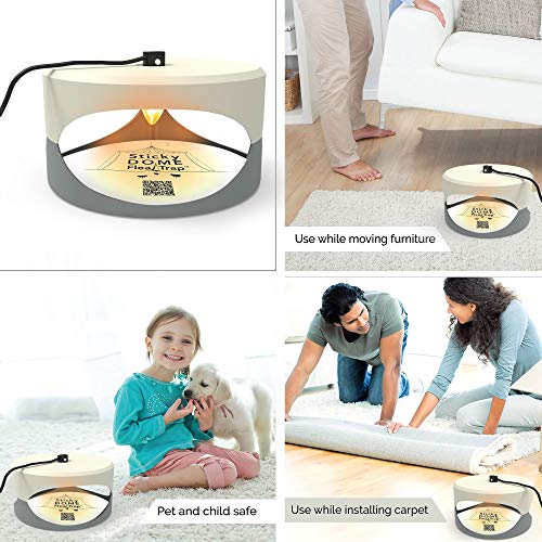 ASPECTEK Trapest Sticky Dome Flea Bed Bug Trap with 2 Glue Discs, Odorless Non-Poisonous and Natural Flea Killer Trap Pad, Pets, Children and Family Friendly, 220V Flea Trap