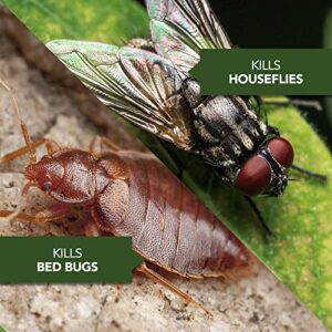 BioAdvanced Home Pest Bed Bug & Flea Killer, Continuous Spray, 15.7 oz