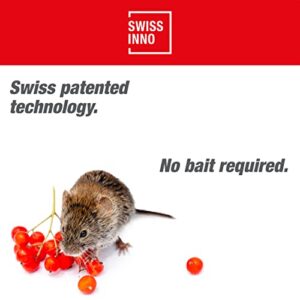 SWISSINNO Gopher & Vole Trap PRO SuperCat. Control Gophers, Voles + Field Mice, Unique Trigger Catch Action, Ultra-effective with High Catch Rates. Easy to Setup, Safe + Reusable. Made in Europe: 1x Trap, Gray