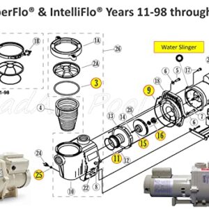 BadAss Pool Supply O-Ring Rebuild Repair Kit for Pentair WhisperFlo IntelliFlo, Almond Gasket, fits Years 11/98 Thru 1/08, Kit 32