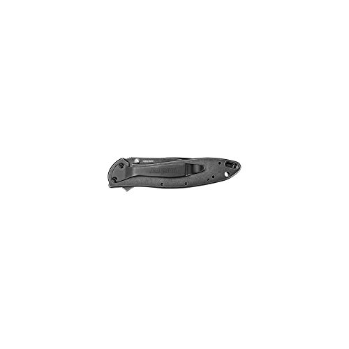 Kershaw Leek BlackWash Composite Blade Folding Pocketknife, 3" D2 Steel and 14C28N Stainless Steel Blade, Assisted Opening Folding EDC