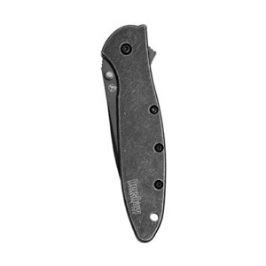 Kershaw Leek BlackWash Composite Blade Folding Pocketknife, 3" D2 Steel and 14C28N Stainless Steel Blade, Assisted Opening Folding EDC