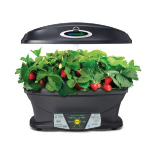 AeroGarden Extra with Gourmet Herb Seed Pod Kit