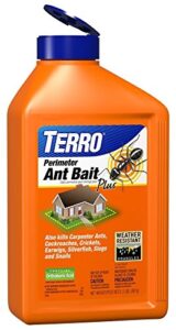 terro ant bait plus