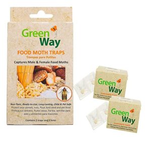 greenway food moth traps (2 traps) - pantry moth trap - alternative to naphthalene balls and moth balls - pheromone attractant