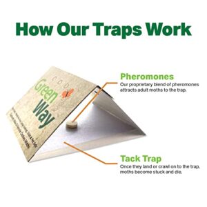 Greenway Food Moth Traps (2 Traps) - Pantry Moth Trap - Alternative to Naphthalene Balls and Moth Balls - Pheromone Attractant