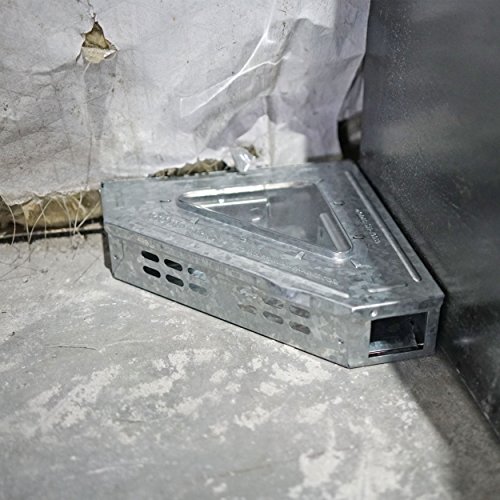 Southern Homewares Multi-Catch Clear Top Humane Repeater Mouse Trap's