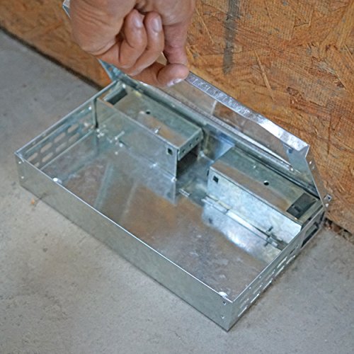 Southern Homewares Multi-Catch Clear Top Humane Repeater Mouse Trap's